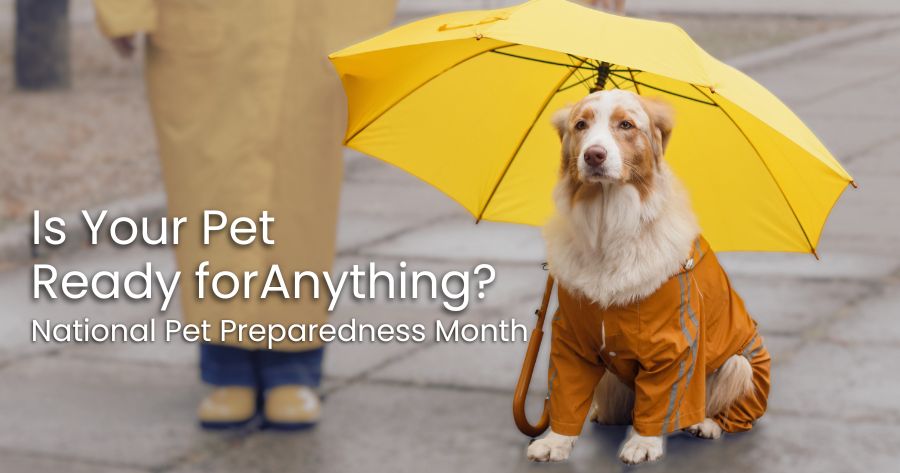 National Pet Preparedness Month