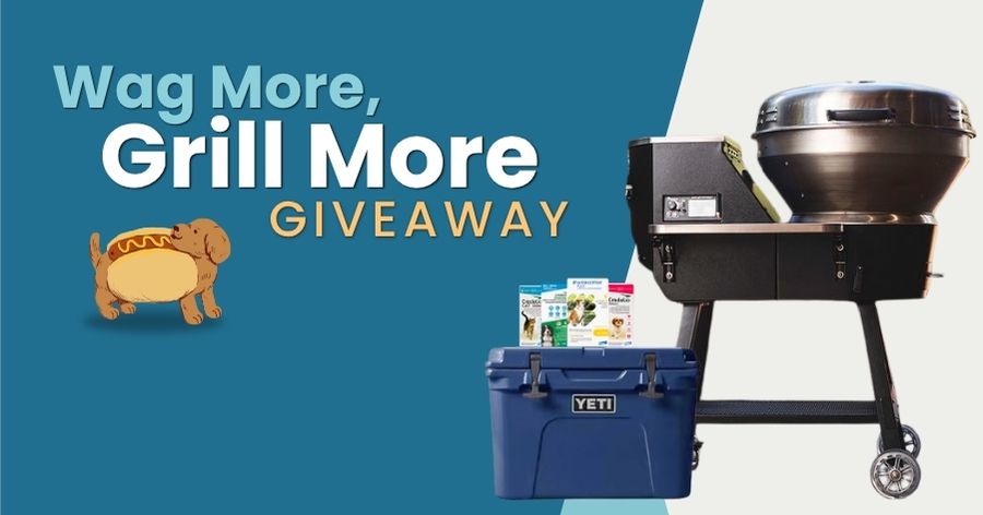 Wag More, Grill More: Protect Your Pet and Win This Summer