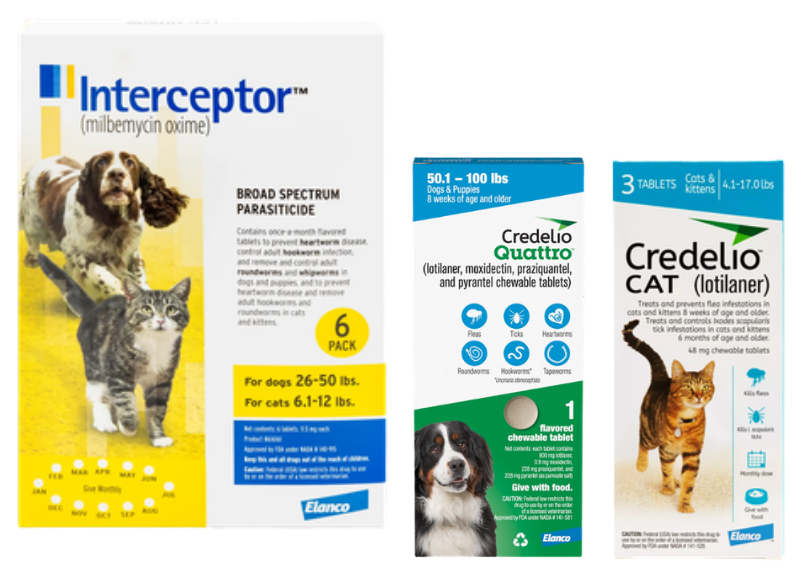 Parasite Prevention - Flea & Tick Control