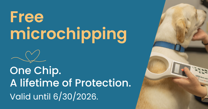 Free Microchipping
