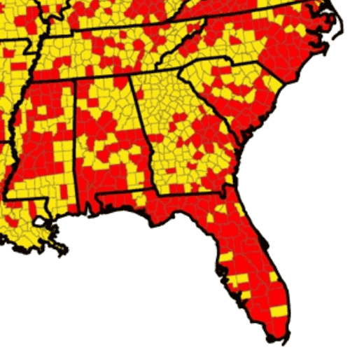 Black Legged Tick in GA