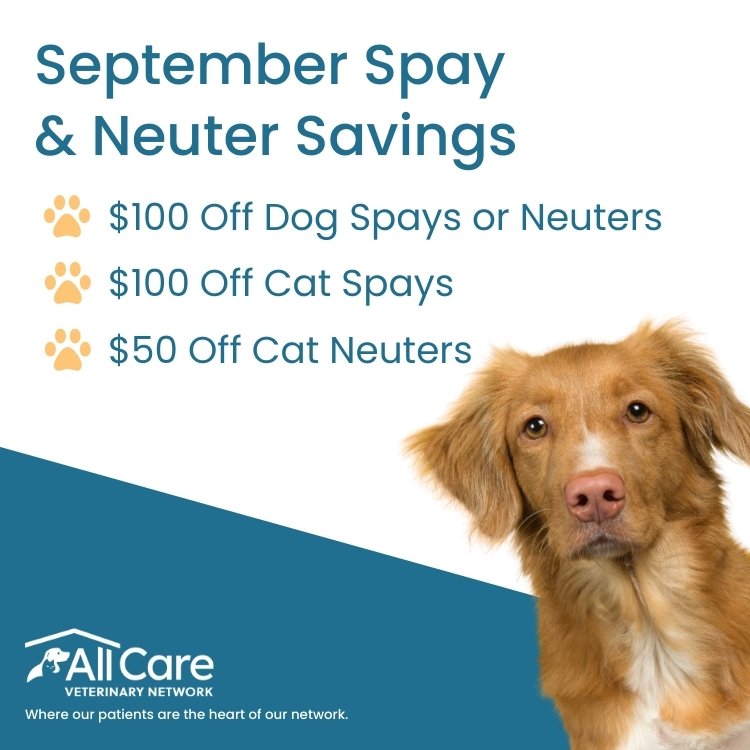 $50-$100 off spays and neuters in September