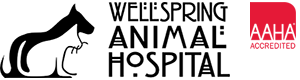 Wellspring Animal Hospital