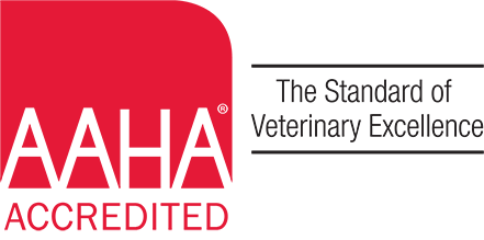 AAHA - The Standard of Veterinary Excellence